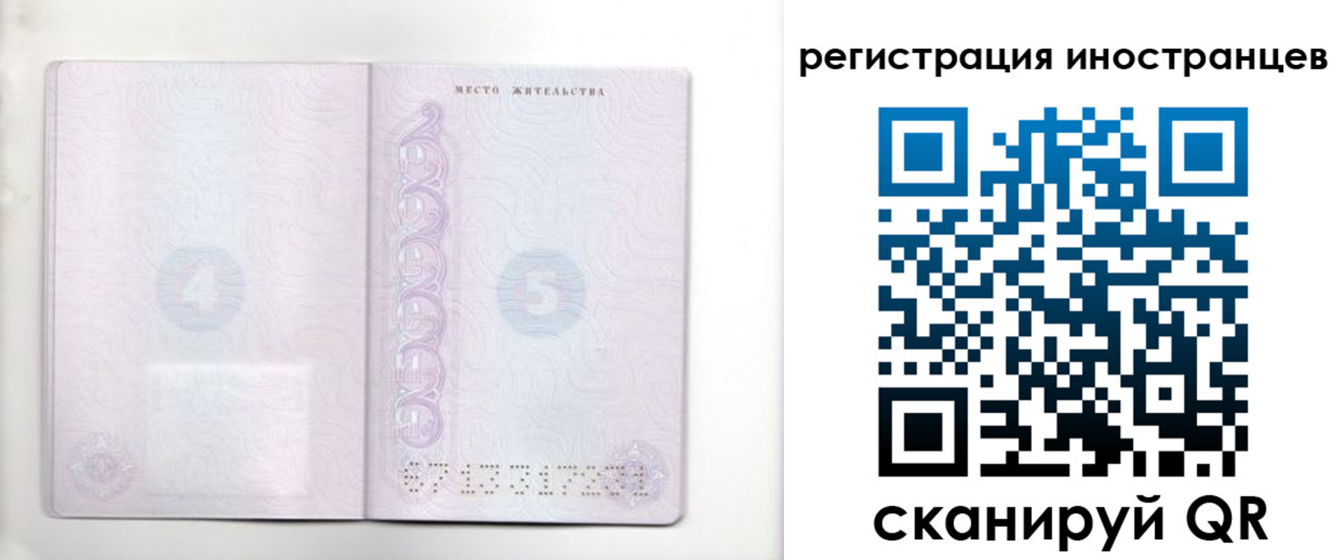 временная регистрация в Полярных Зорях